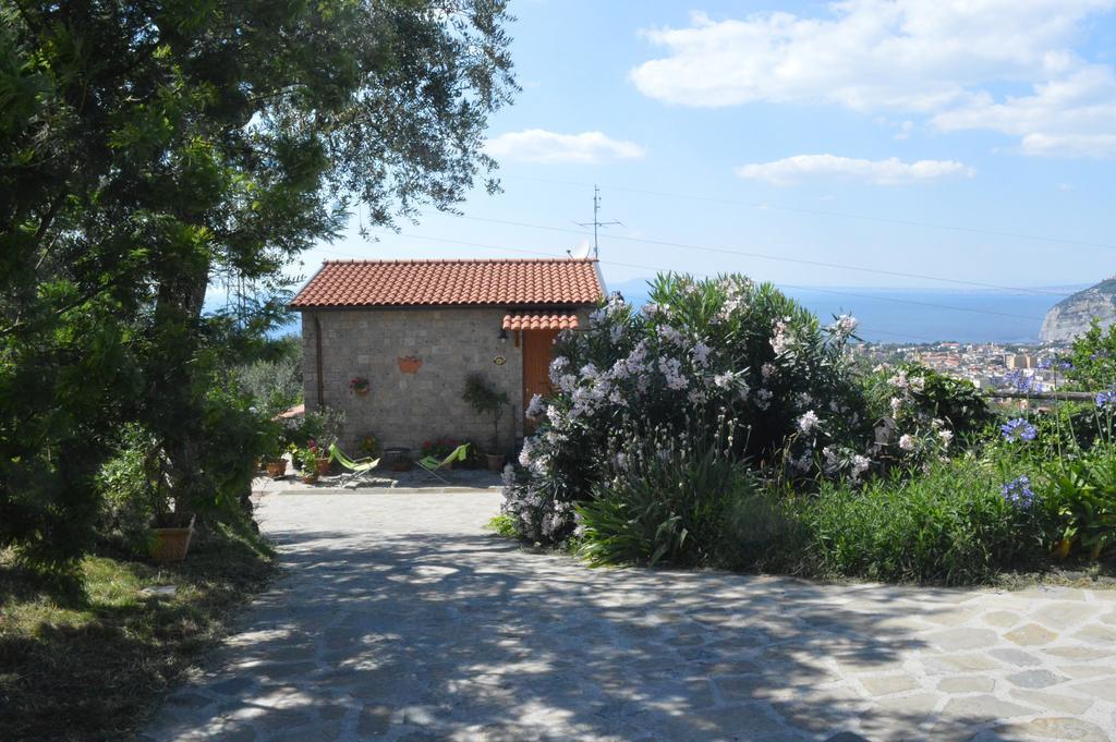 Agriturismo L'Olivara Piano di Sorrento Luaran gambar