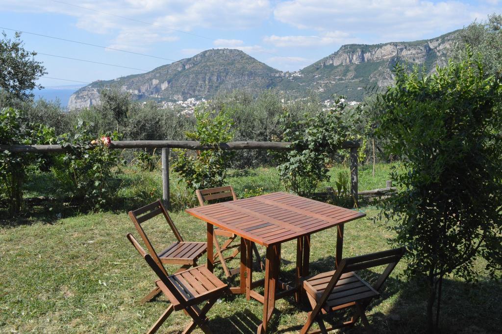 Agriturismo L'Olivara Piano di Sorrento Luaran gambar