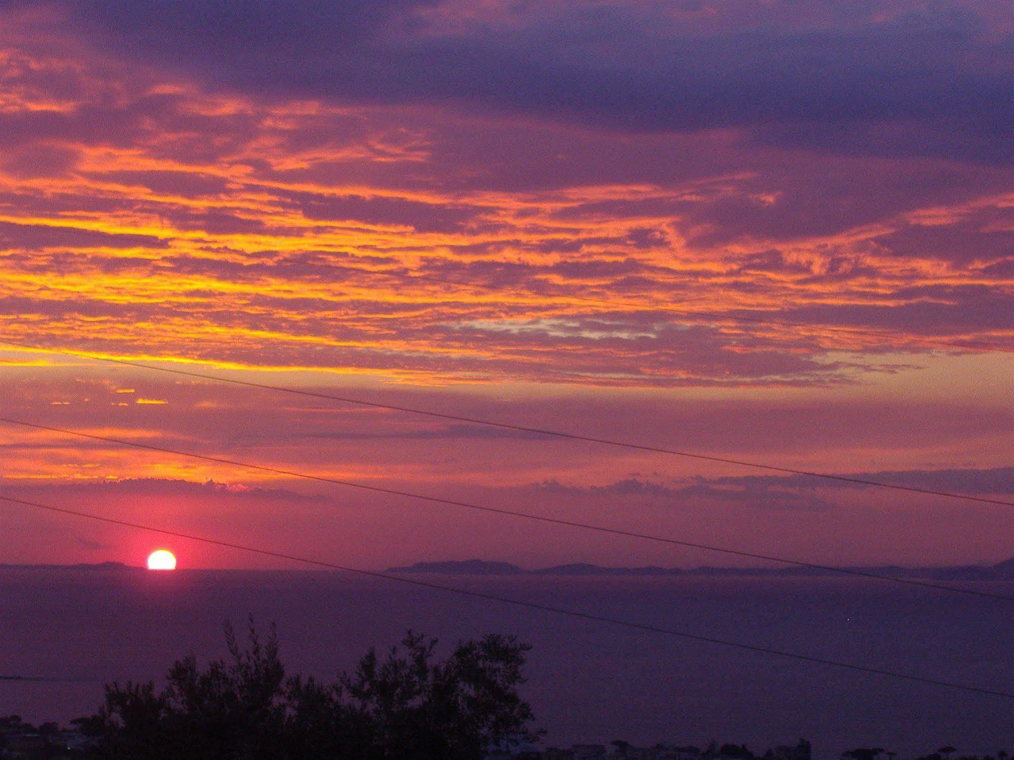 Agriturismo L'Olivara Piano di Sorrento Luaran gambar