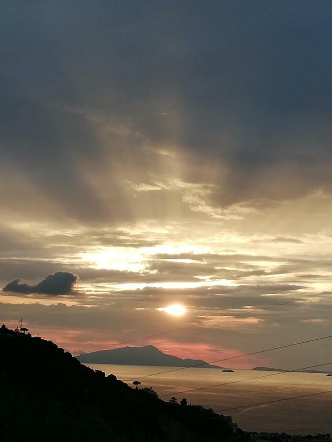 Agriturismo L'Olivara Piano di Sorrento Luaran gambar